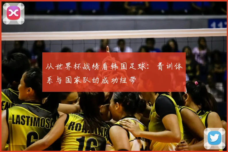 从世界杯战绩看韩国足球：青训体系与国家队的成功纽带