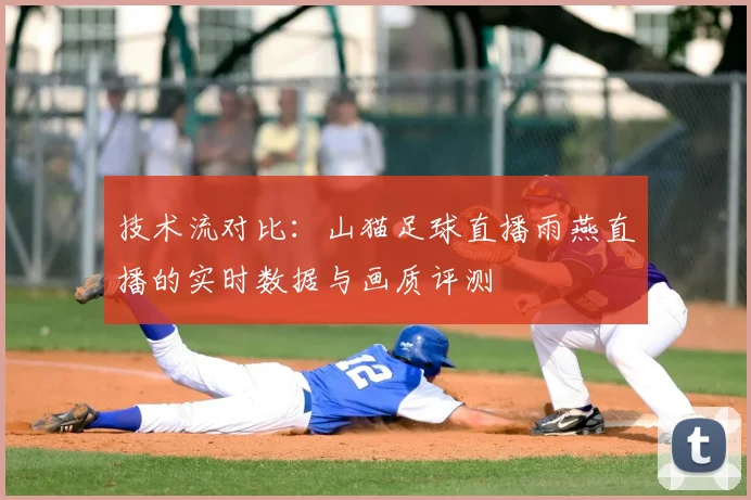 技术流对比：山猫足球直播雨燕直播的实时数据与画质评测