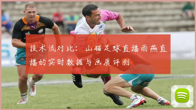 技术流对比：山猫足球直播雨燕直播的实时数据与画质评测