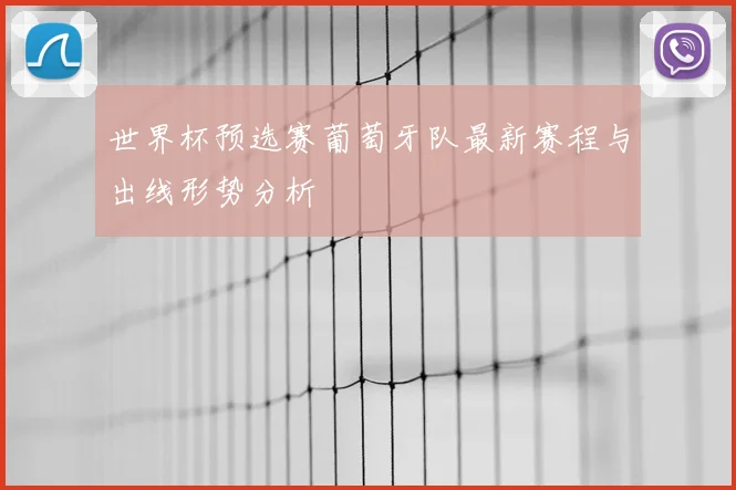 世界杯预选赛葡萄牙队最新赛程与出线形势分析