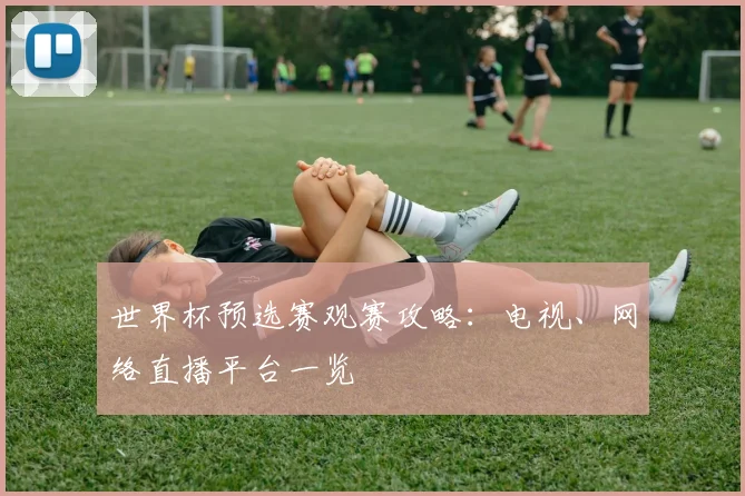 世界杯预选赛观赛攻略：电视、网络直播平台一览