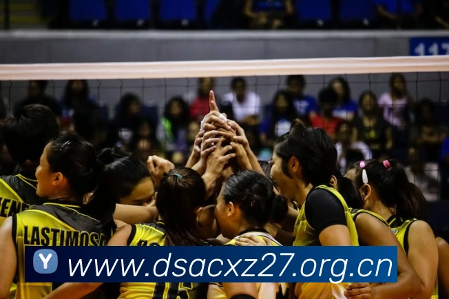 米兰app官方登录入口平台生态图